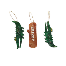 Load image into Gallery viewer, &#39;CRIKEY&#39; Acrylic Earrings Set