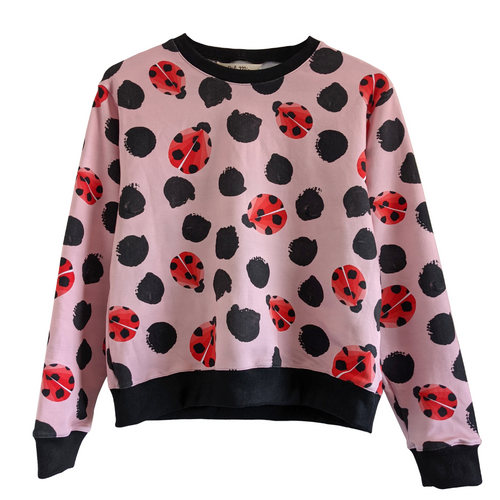 'Kasey Rainbow Lady Beetle' Jumper (Midweight) (Size S and L Only)