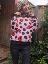 Load image into Gallery viewer, &#39;Kasey Rainbow Lady Beetle&#39; Jumper (Midweight) (Size S and L Only)
