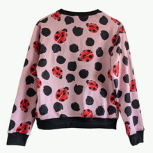 Load image into Gallery viewer, &#39;Kasey Rainbow Lady Beetle&#39; Jumper (Midweight) (Size S and L Only)